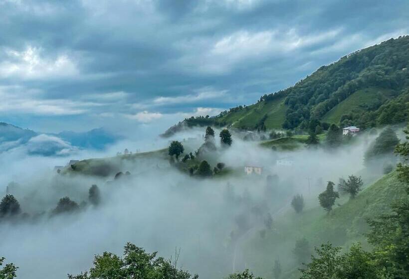 Четырехместный номер Премиум, Organic Village Bungalow