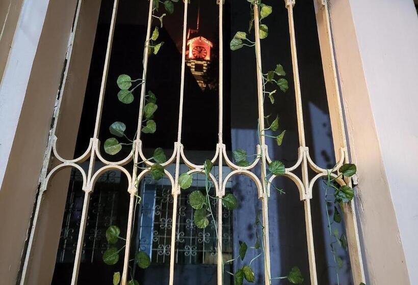 Люкс с Балконом, The Revett