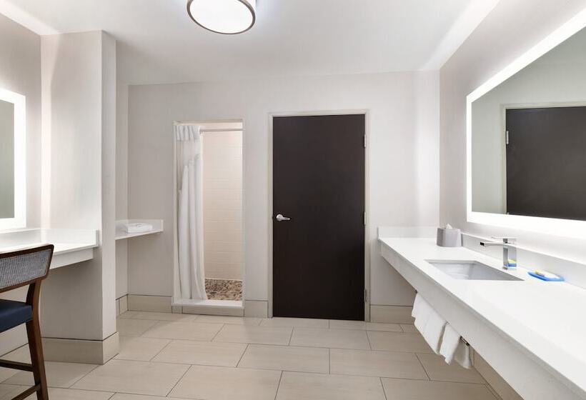 Люкс, Holiday Inn Express Hotel & Suites Auburn   University Area, An Ihg