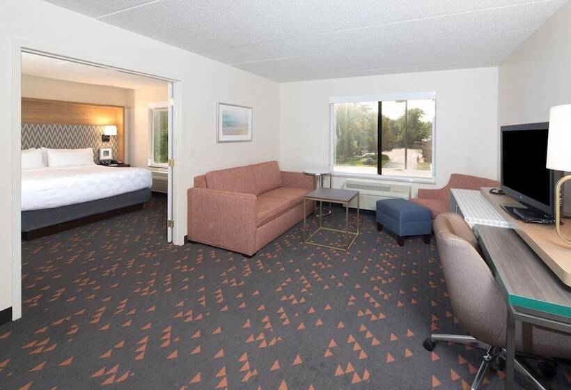 장애인을 위한 스위트, Holiday Inn & Suites Ann Arbor Univ Michigan Area By Ihg