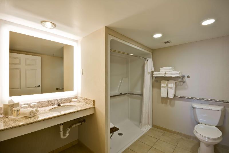 スイート, Homewood Suites By Hilton Dulles Int L Airport