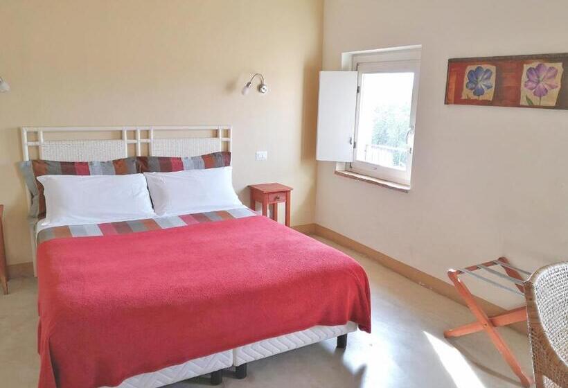 Номер Стандарт, Tenuta San Marcello