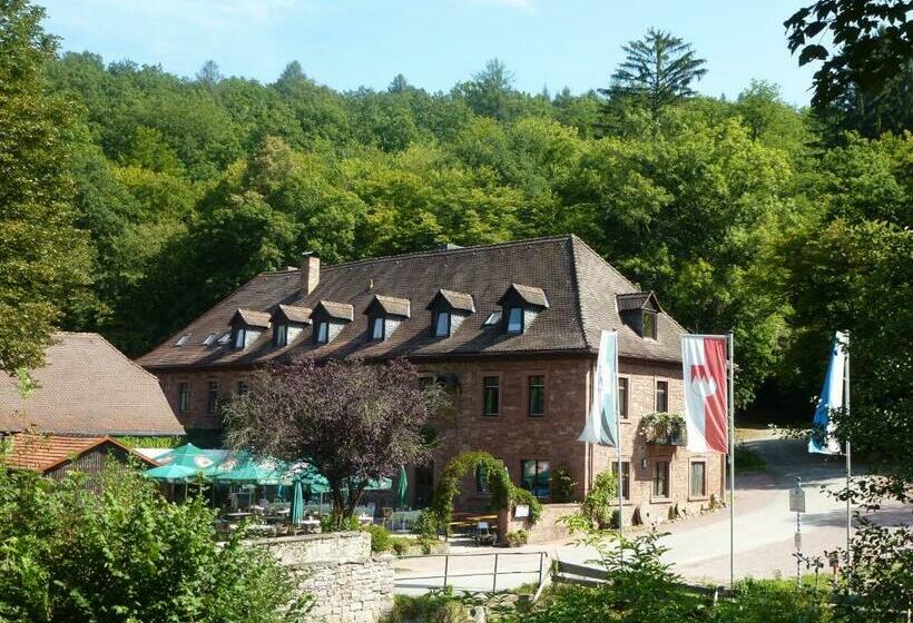 Номер Стандарт, Gasthof Buchenmühle