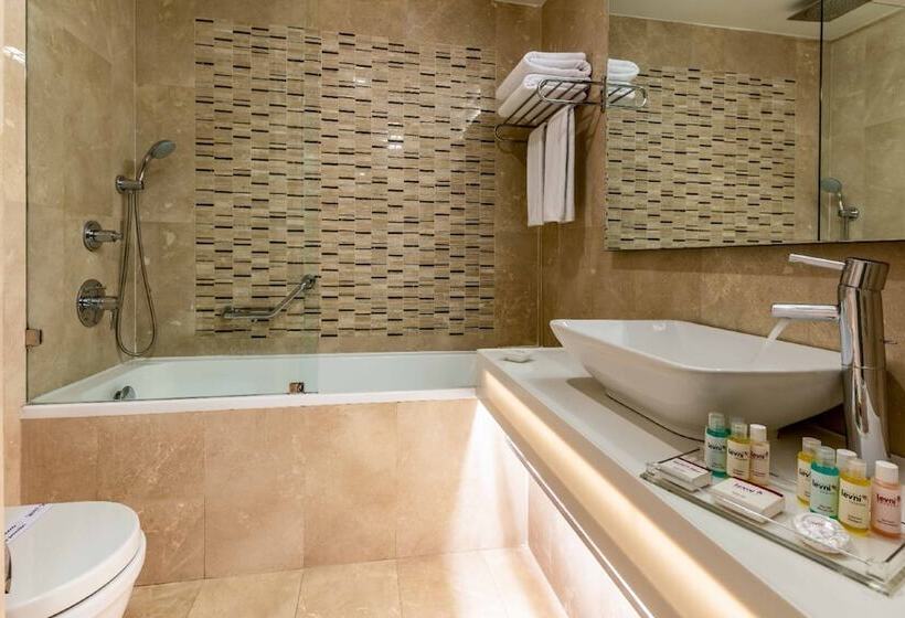 スタンダードトリプルルーム, Levni Hotel & Spa Special Category