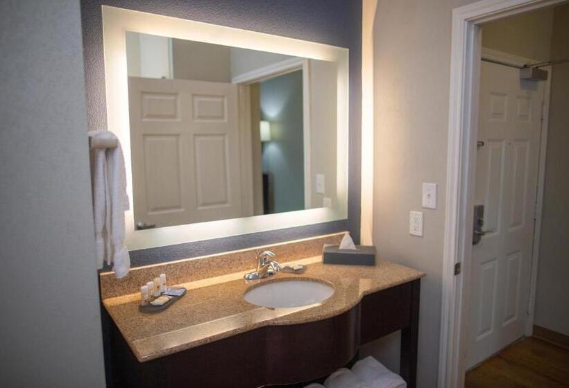 חדר סטנדרט שתי מיטות זוגיות, La Quinta By Wyndham Houston East At Normandy