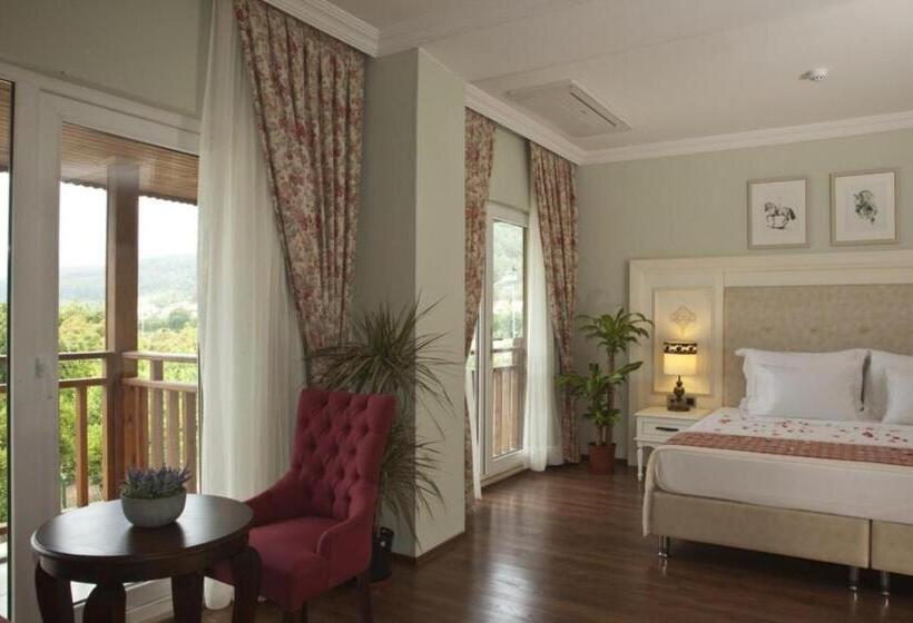 Номер Deluxe, Padok Premium Hotel And Stables
