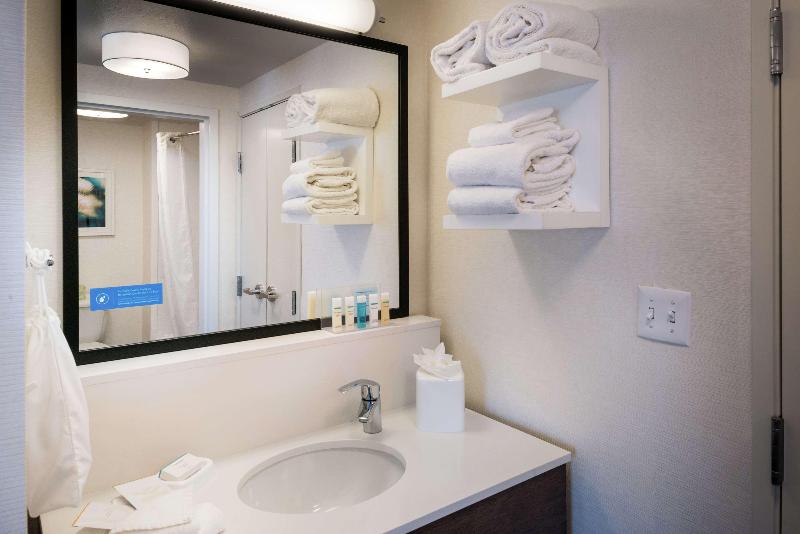 带大床的套房, Hampton Inn & Suites Carson City