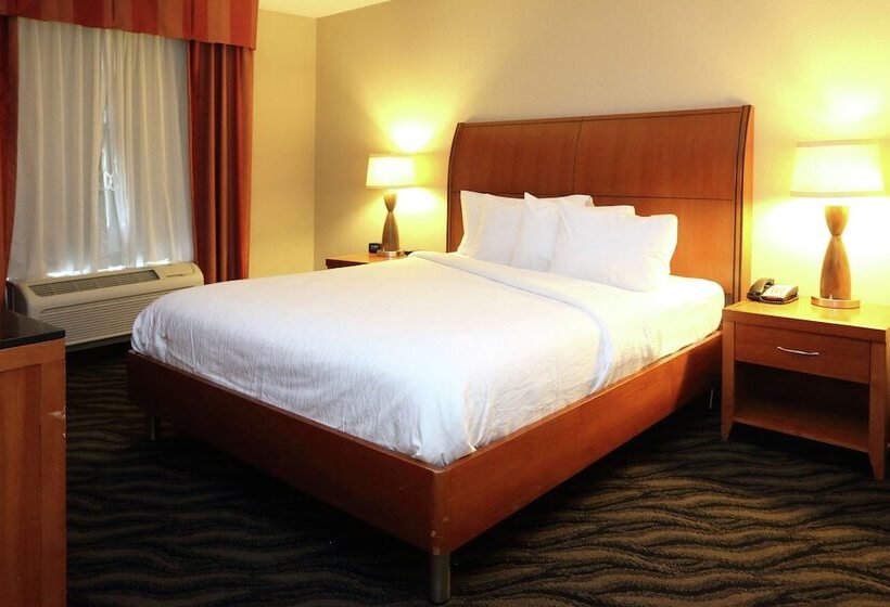 Люкс Повышенной Комфортности, Hilton Garden Inn Chesapeake/suffolk