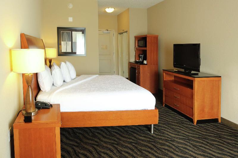 스탠다드 룸 킹사이즈 침대, Hilton Garden Inn Chesapeake/suffolk