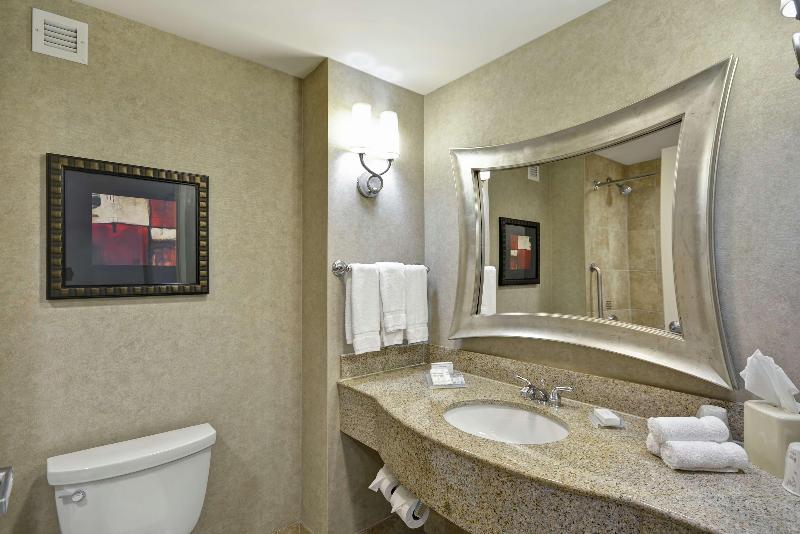 Полулюкс Кровать Кинг, Hilton Garden Inn Toledo Perrysburg
