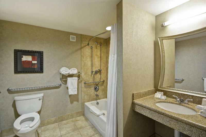 Полулюкс Кровать Кинг, Hilton Garden Inn Toledo Perrysburg