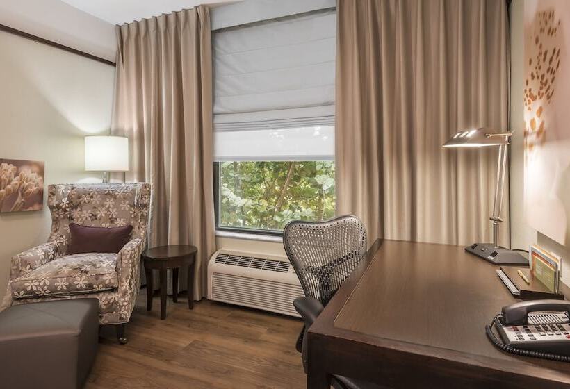 スタンダードルーム, Hilton Garden Inn West Palm Beach Airport