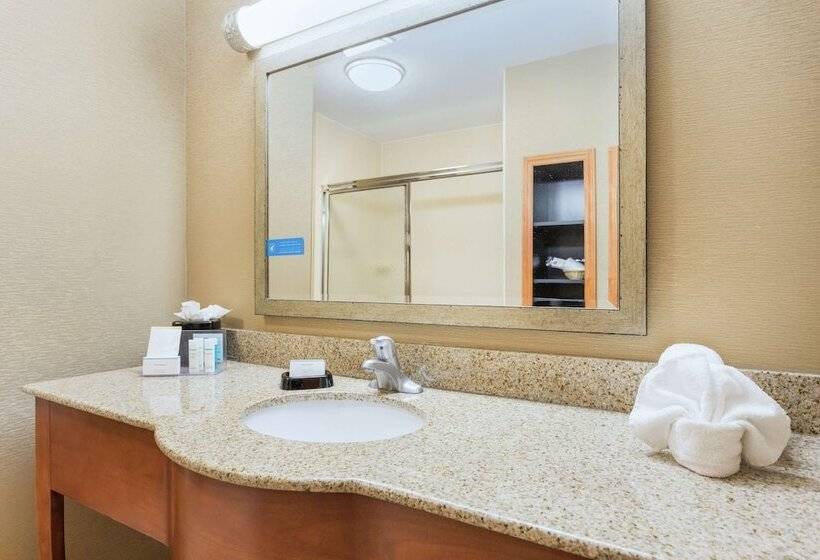 스탠다드 룸, Hampton Inn Petersburg Southpark Mall