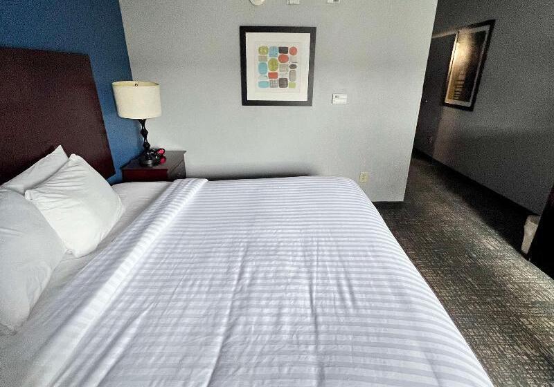 身障者適用キングサイズベッドルーム, Best Western Plus Glen Allen Inn