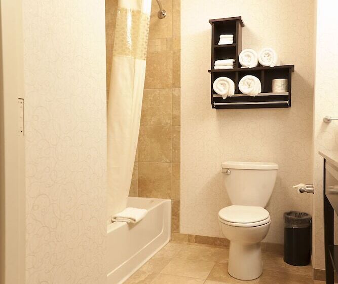 スタンダードルーム, Hampton Inn & Suites By Hilton Lethbridge