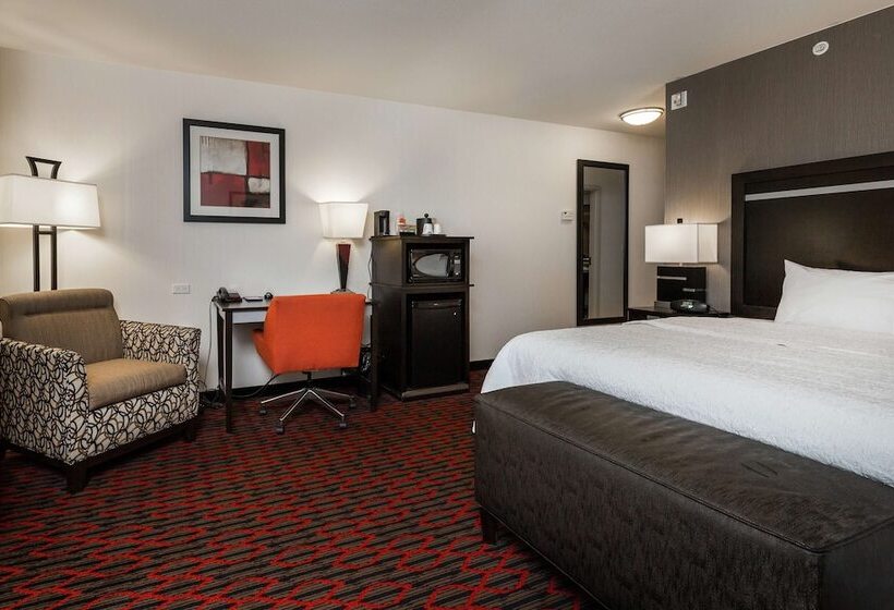 キングサイズベッドのスタンダードルーム, Hampton Inn & Suites By Hilton Lethbridge