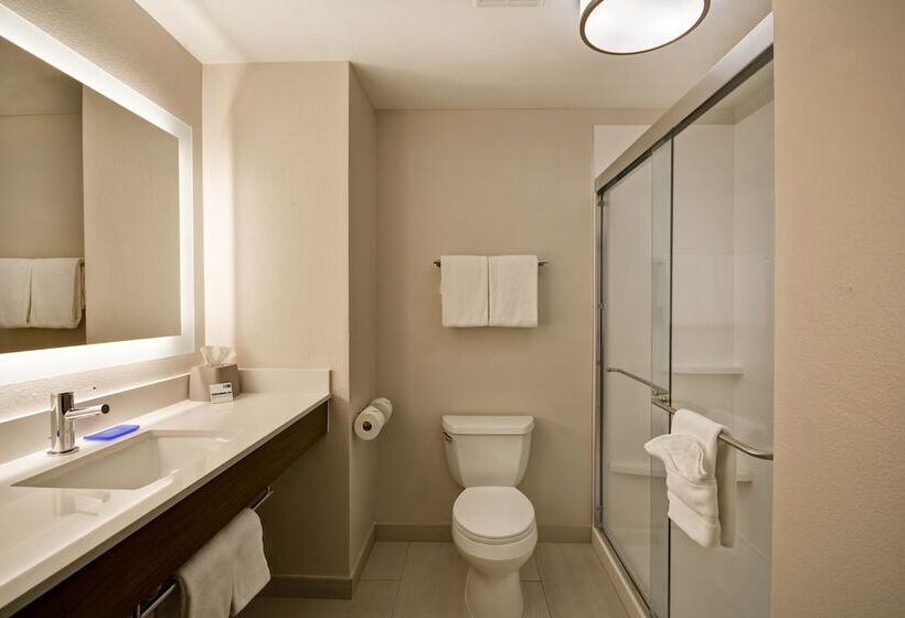 스위트, Holiday Inn Express Fresno River Park Highway 41, An Ihg