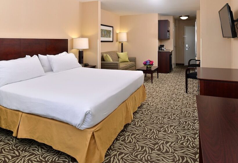 스위트, Holiday Inn Express Fresno River Park Highway 41, An Ihg