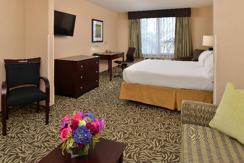 이그제큐티브 스위트 킹침대, Holiday Inn Express Fresno River Park Highway 41, An Ihg