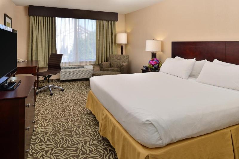 스탠다드 룸 킹사이즈 침대, Holiday Inn Express Fresno River Park Highway 41, An Ihg