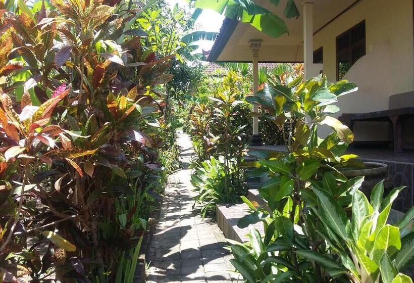 스탠다드 룸, Surya Homestay