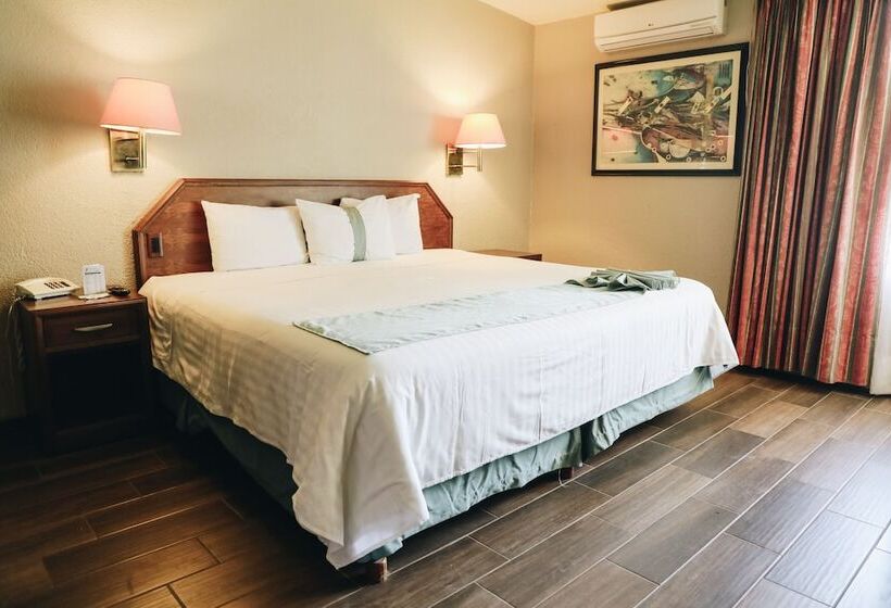 ジュニアスイート, La Joya Tulancingo