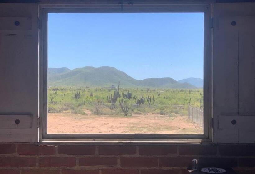 Семейный Номер Вид на Море, Baja69 Lodge