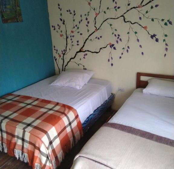Трежместный Номер Economy, Buganvilla Guest House