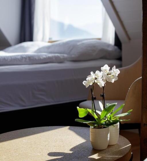 Студия Deluxe, Welcome Apartments Spiez