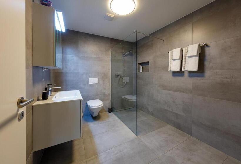 Апартаменты 1 Спальня, Welcome Apartments Spiez