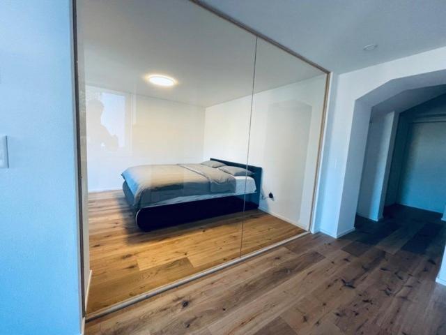 Апартаменты 1 Спальня, Welcome Apartments Spiez