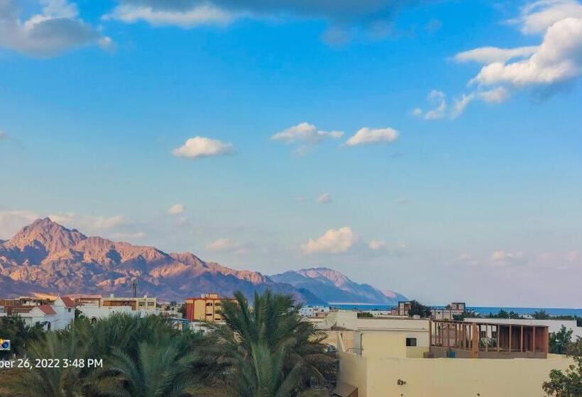 استودیوی استاندارد, Shabana House