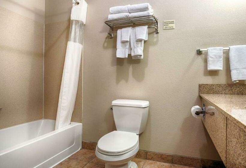 Стандартный Номер Кровать Кинг, Best Western Plus Eastgate Inn & Suites