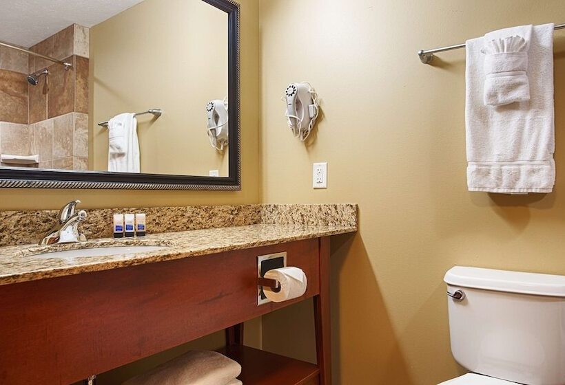 Люкс, Best Western Plus Grand Island Inn And Suites