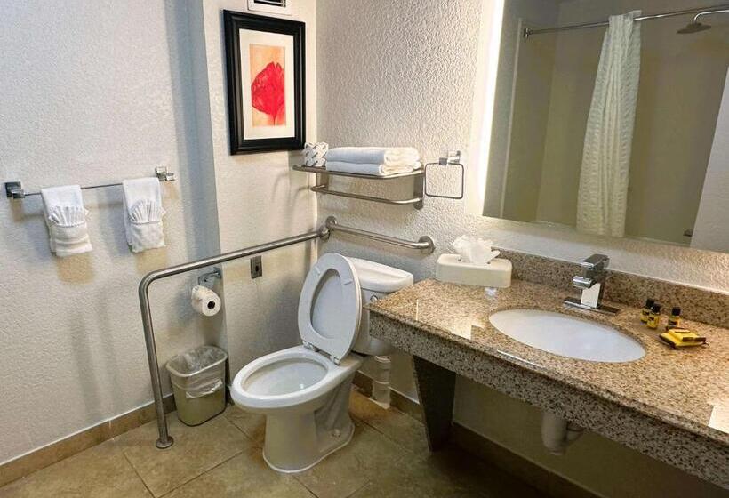 Люкс Адаптированный для Инвалидов, Best Western Plus Jfk Inn & Suites