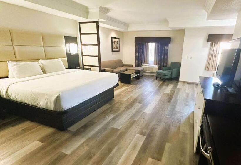 套房, Best Western Plus Jfk Inn & Suites