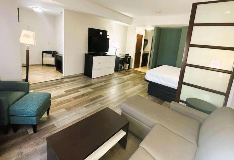 Люкс, Best Western Plus Jfk Inn & Suites