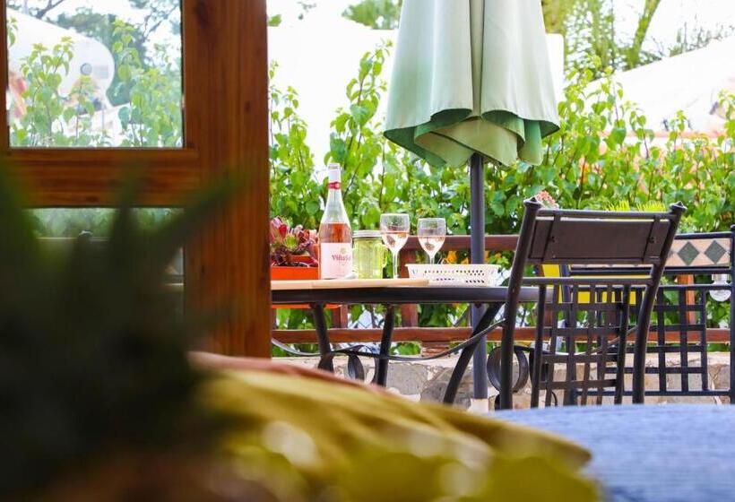 Студия Стандарт, Los Geranios, Close To Beach, Puerto Colon, Yellowcat 2