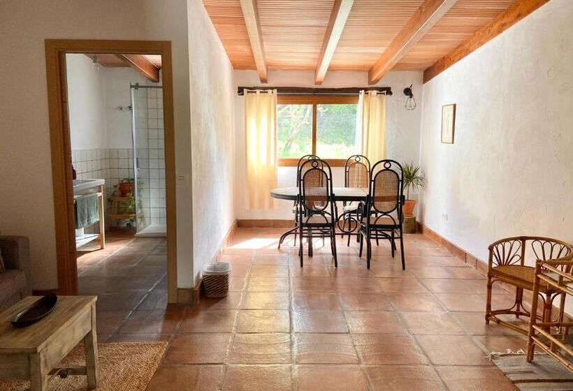 Номер Стандарт, The Wild Olive Andalucía Palma Guestroom