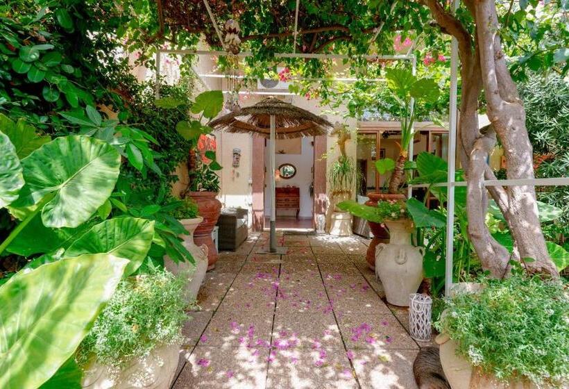 Номер Стандарт Трехместный, Villabeachcity Guesthouse
