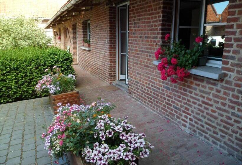 اتاق استاندارد, Gîte De La Noyelle à Sainghin En Mélantois