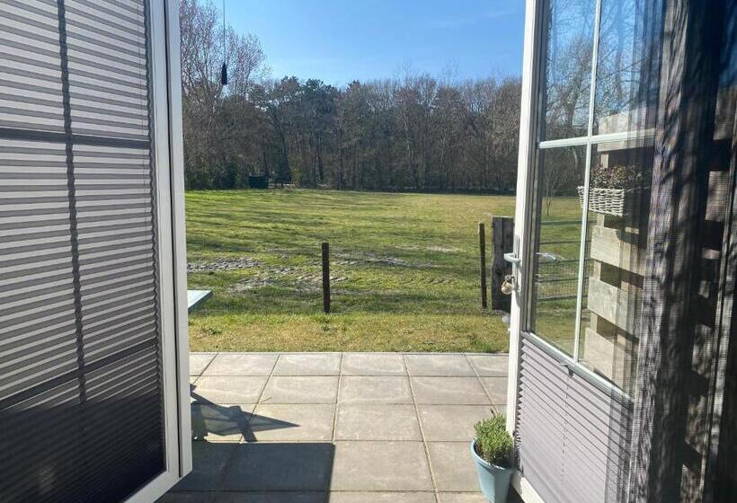 اتاق استاندارد, Logies Boszicht Texel