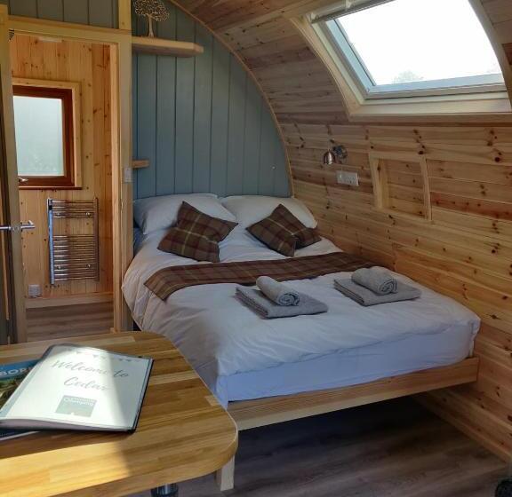 Студия Deluxe, Braeview Glamping
