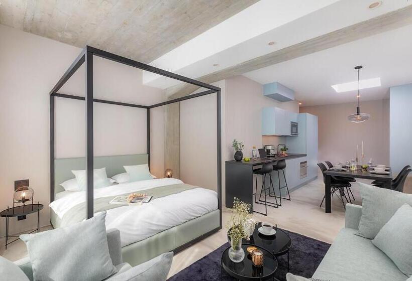 带1个卧室的公寓, Visionapartments Basel Nauenstrasse   Contactless Check In
