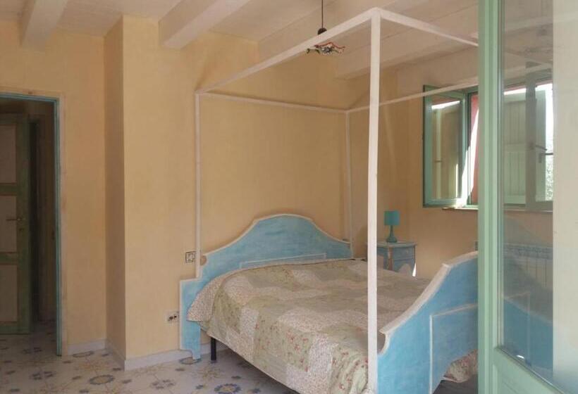 Standart Oda, Le Rondini