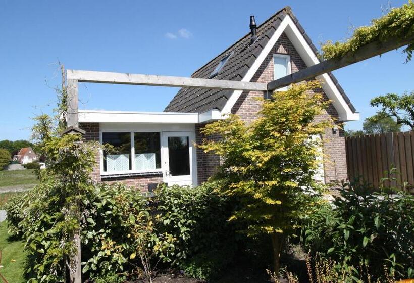 스탠다드 테라스 룸, B&b Kleine Vliet