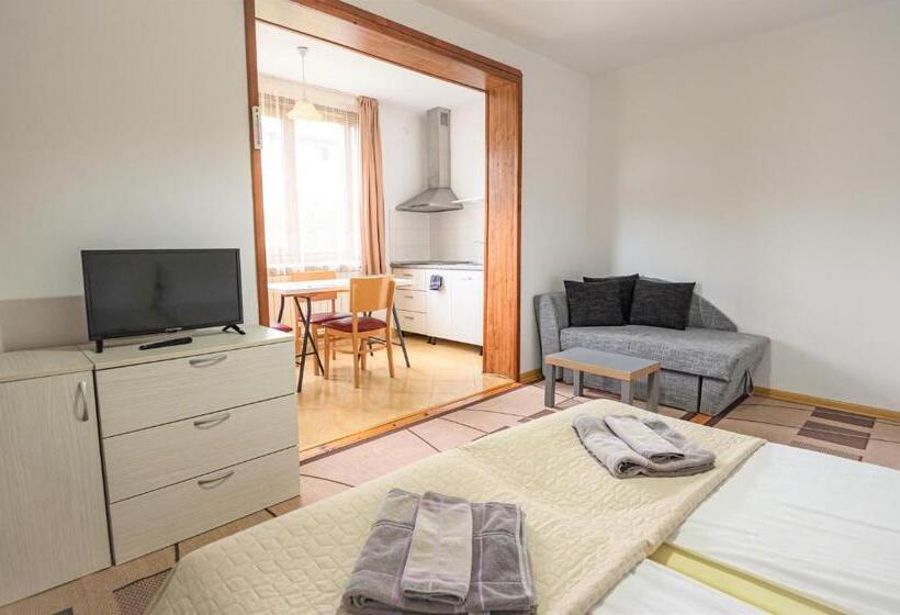 סטודיו דלוקס, Guest House 7