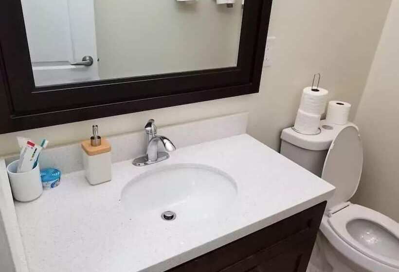 家庭间, Private Rooms, Free Parking, Full Kitchen, Best Prices In Town  York University Heights