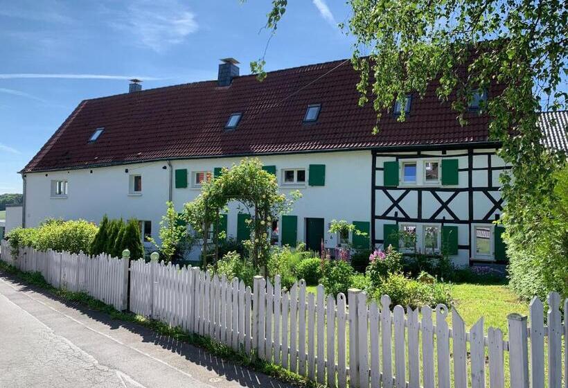 Номер Стандарт, Buxhaus
