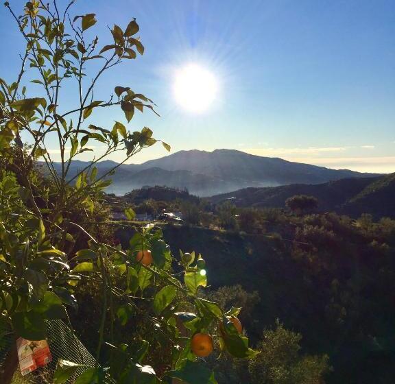 Номер Стандарт, Casira, Casitas En Kamers, Viñuela, Andalucía